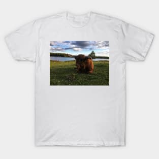 Scottish Highland Cattle Bull 1792 T-Shirt